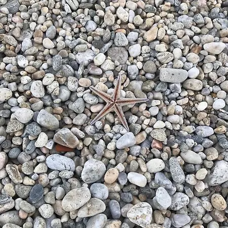 Sun's * أسبروبالتا